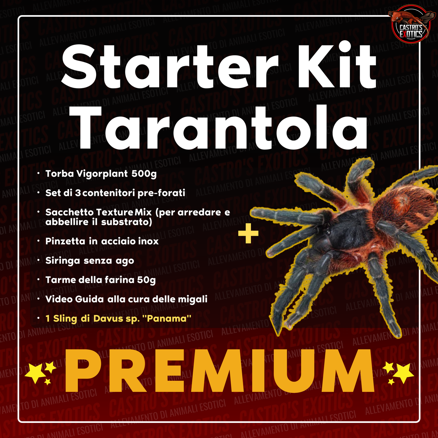 STARTER KIT TARANTOLA (IN ARRIVO)