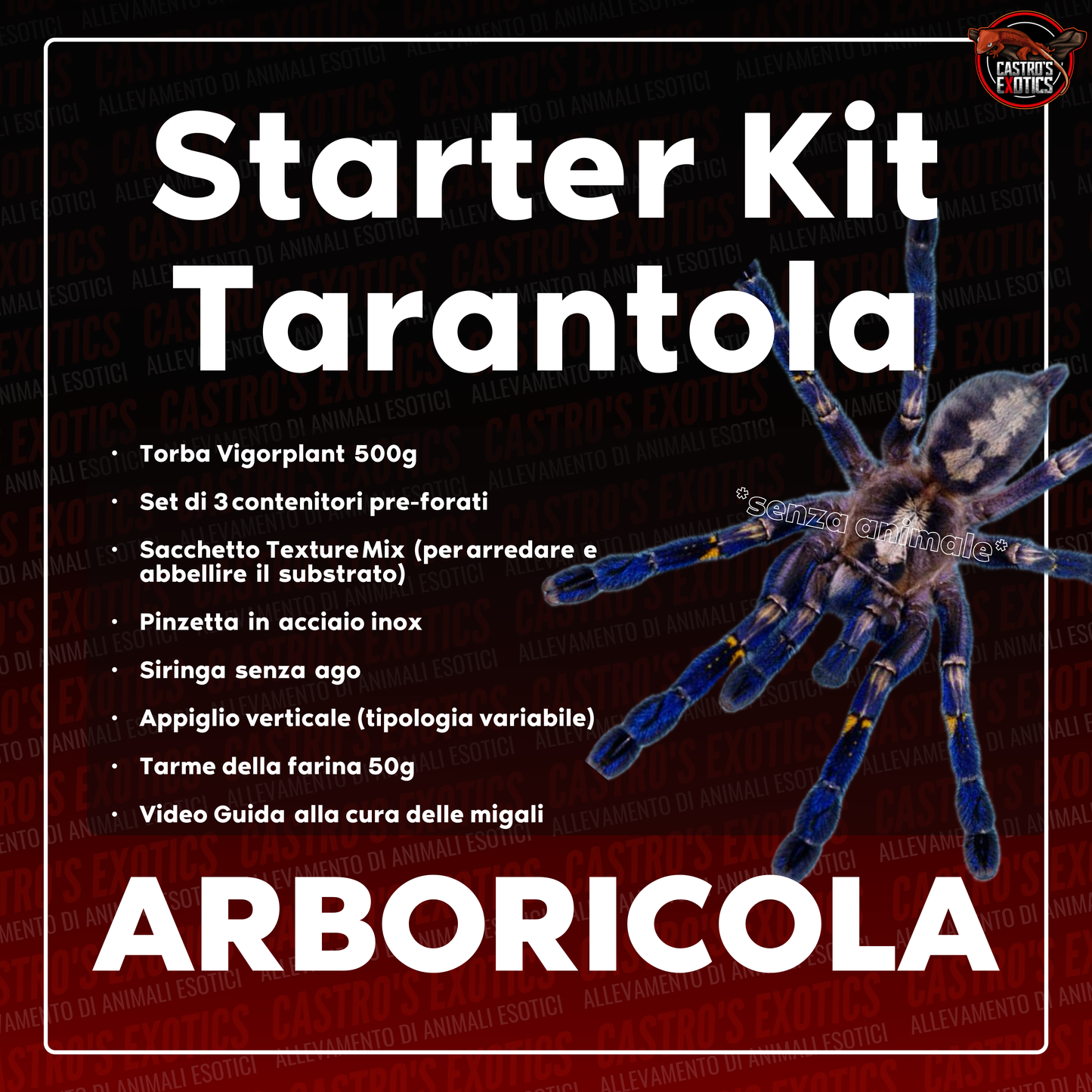 STARTER KIT TARANTOLA (IN ARRIVO)