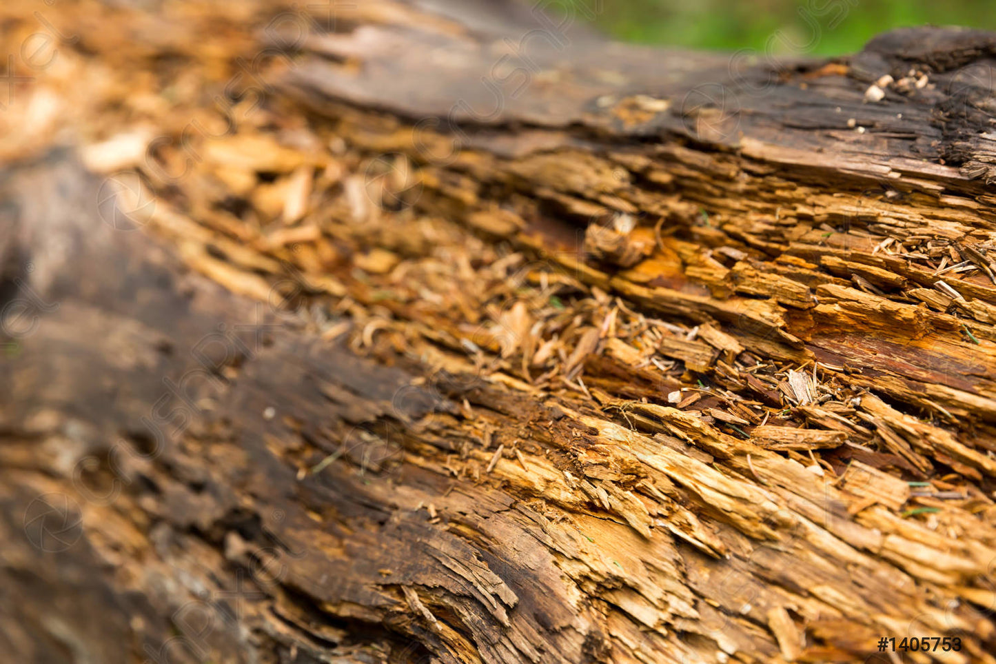 Legno marcio di quercia e faggio mix - 1 Kg