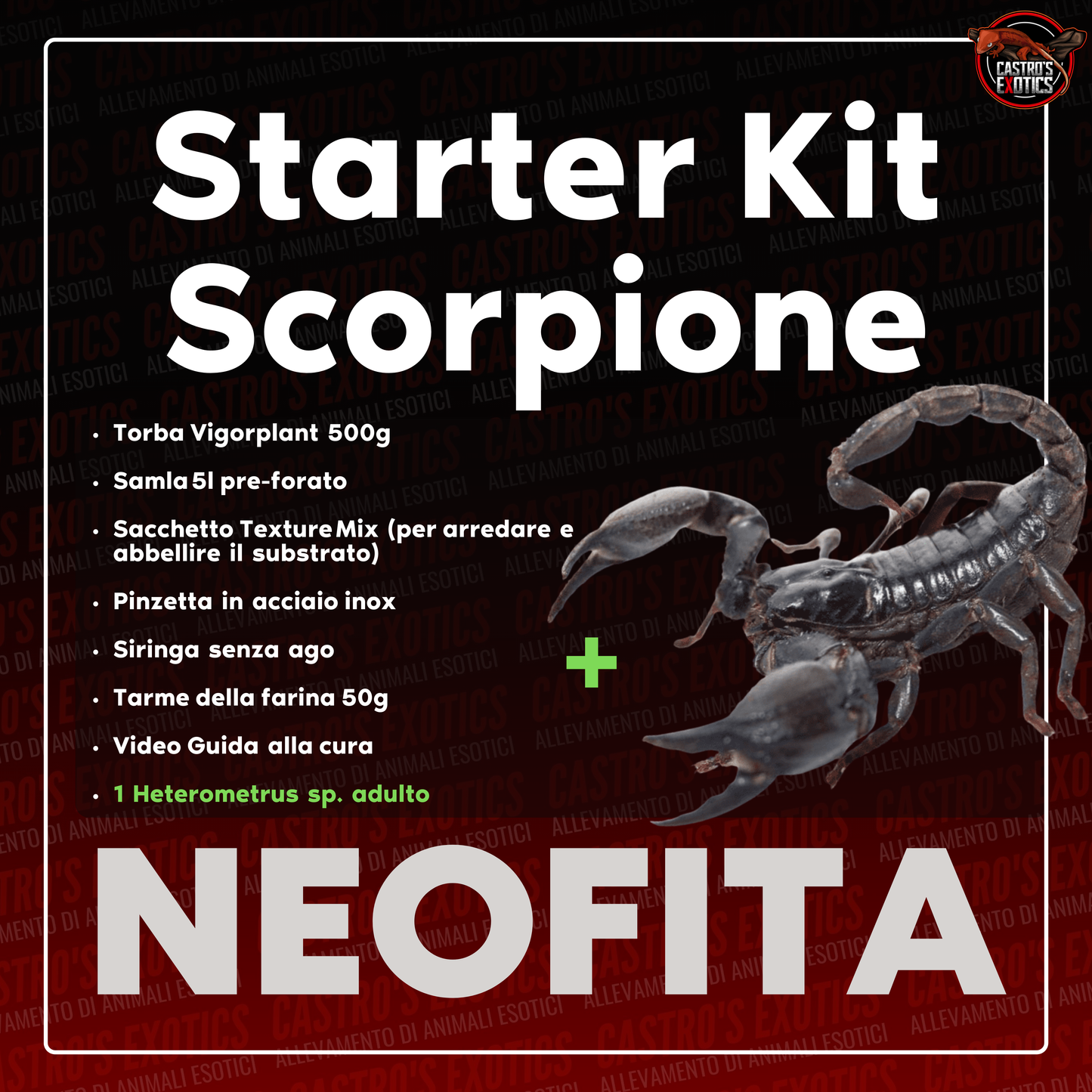 STARTER KIT SCORPIONE (IN ARRIVO)