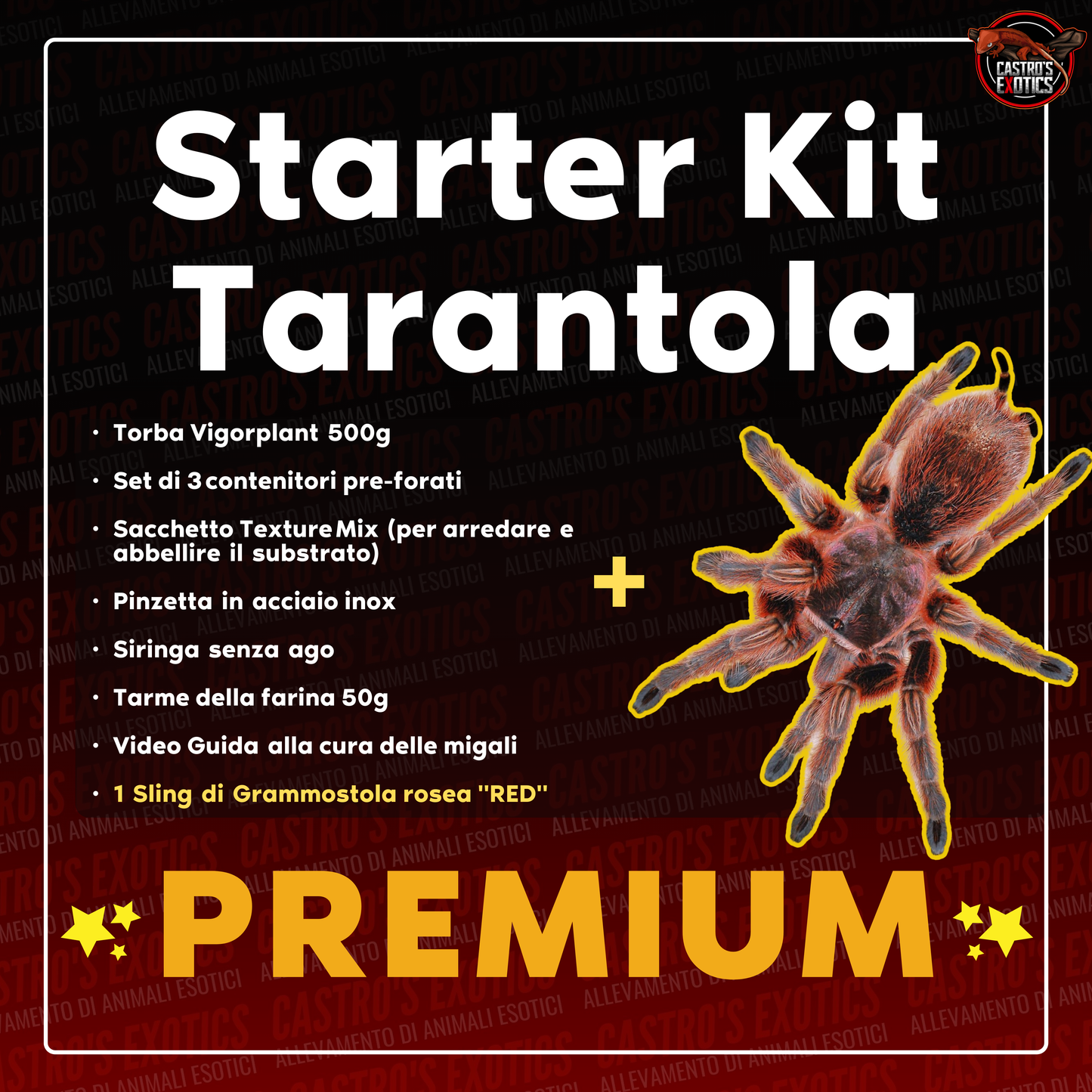STARTER KIT TARANTOLA (IN ARRIVO)