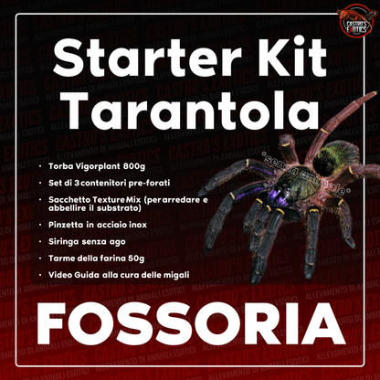 STARTER KIT TARANTOLA (IN ARRIVO)