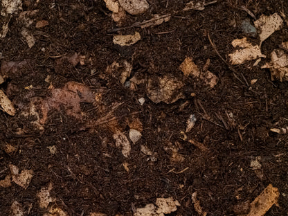 Substrate for bioactive terrariums, beetles, isopods, and millipedes (1kg)