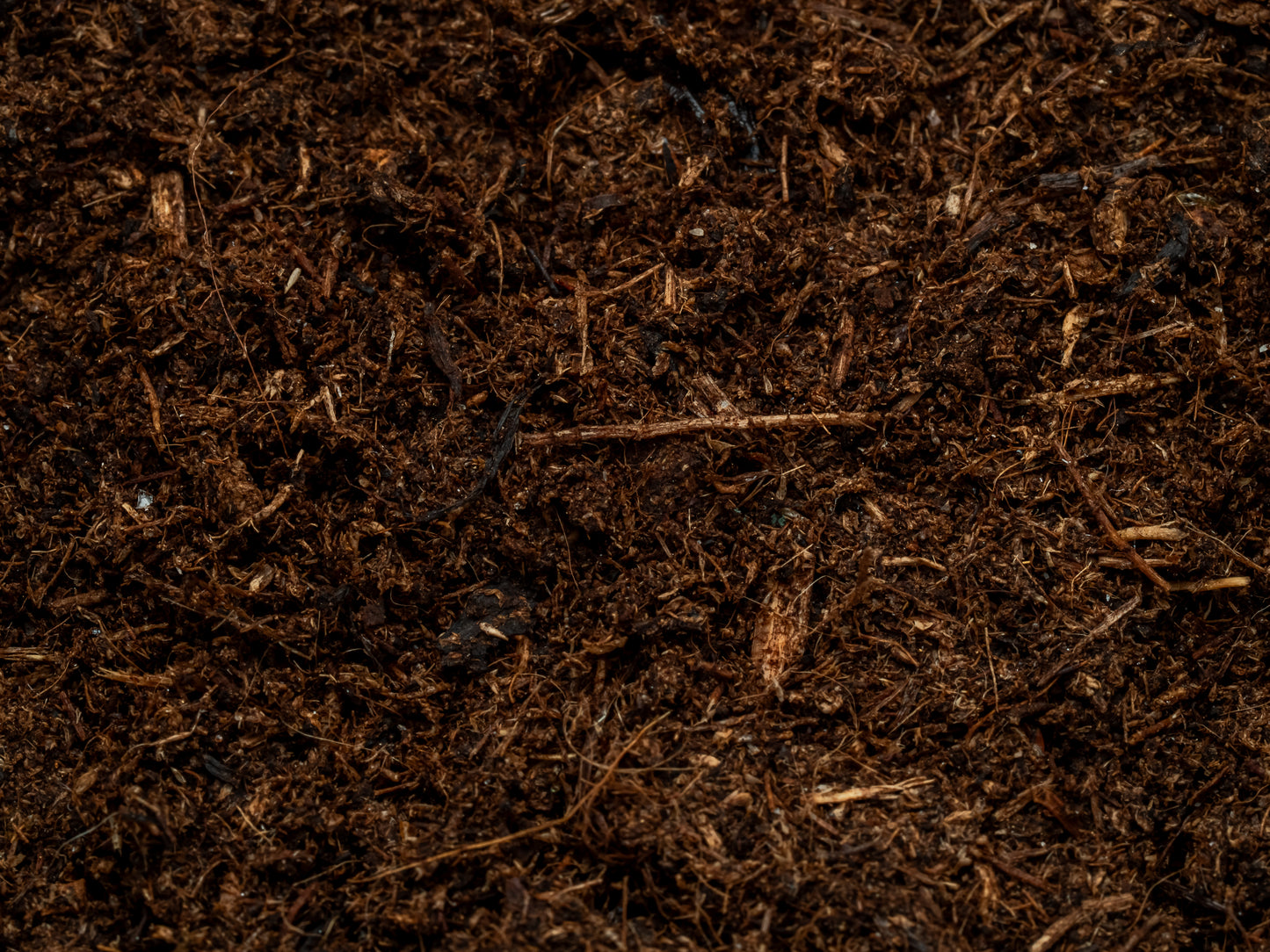 Substrato per Aracnidi (1kg)
