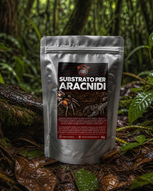 Substrato per Aracnidi (1kg)