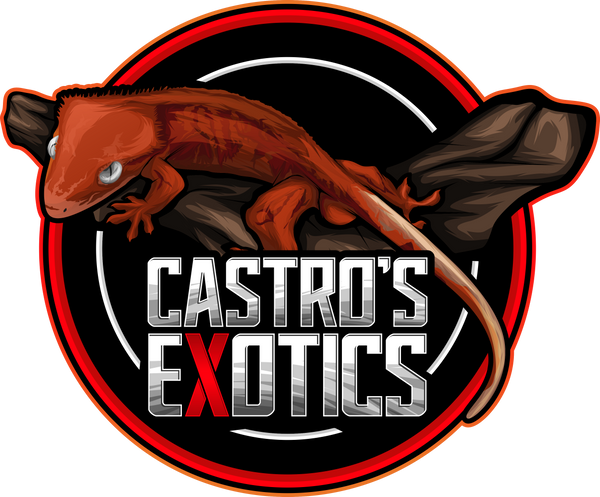 Castro's Exotics
