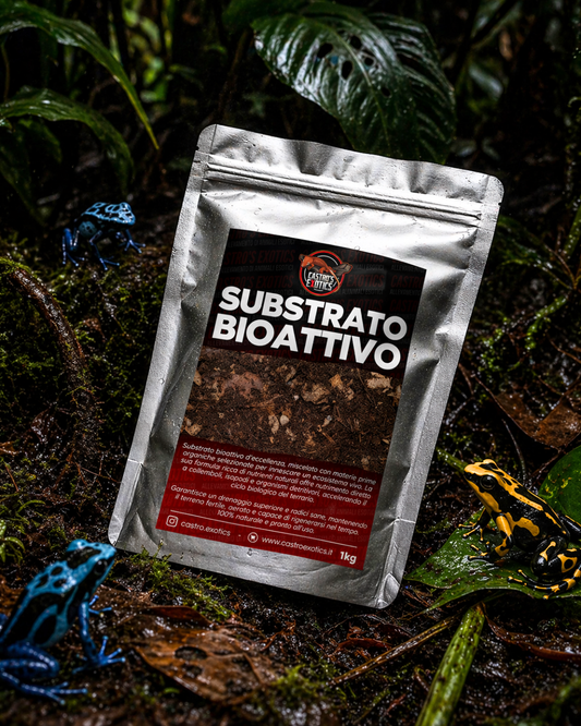 Substrato per terrari bioattivi, coleotteri, isopodi e millepiedi (1kg)