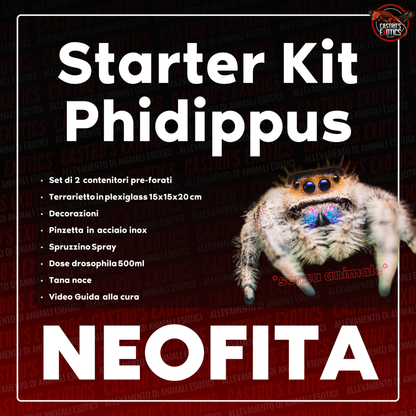 STARTER KIT PHIDIPPUS (IN ARRIVO)
